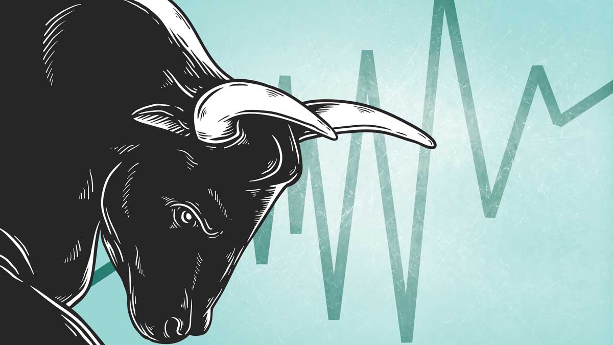 Bull market illustration
